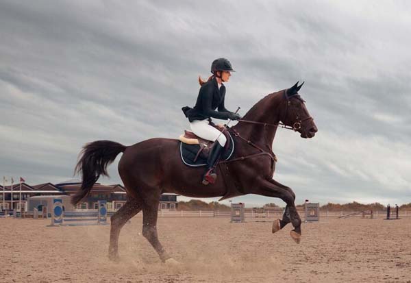 Horse Riding